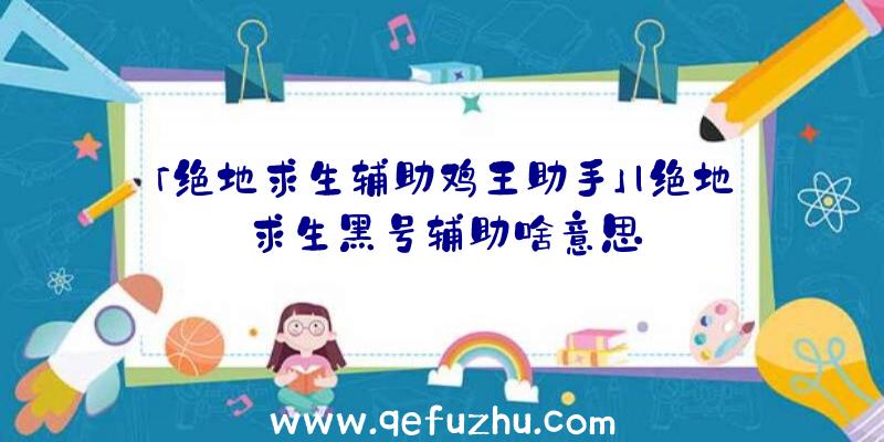 「绝地求生辅助鸡王助手」|绝地求生黑号辅助啥意思